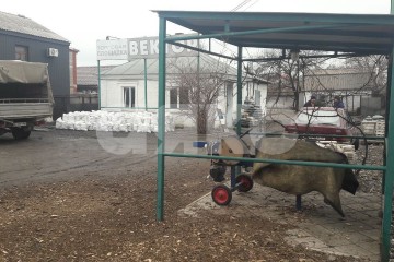 Фото №4: Коммерция 930 м² - Мариуполь, р. Центральный, ул. Марьинская Балка, 45