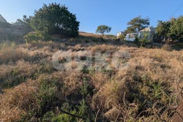 Фото №3: Земельный участок под ИЖС - Бердянское, мкр. Будённовка, 