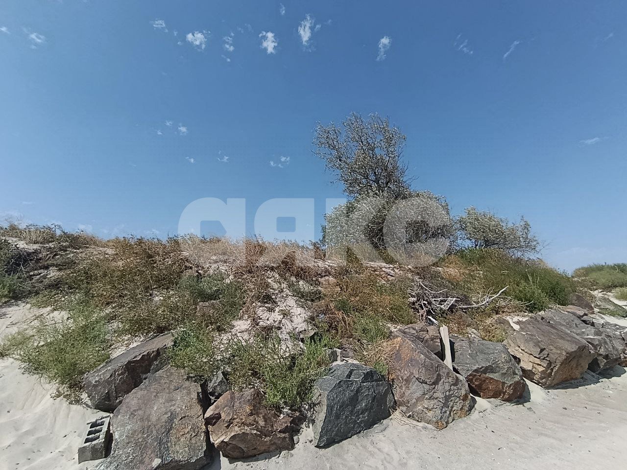 Фото №7: Земельный участок под ИЖС 6 сот. - Белосарайская Коса, ул. Безуха, 221