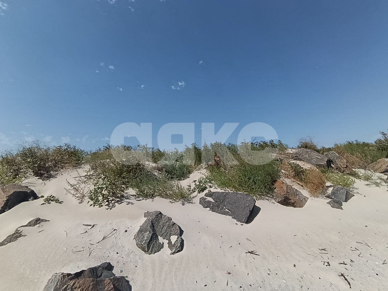 Фото №3: Земельный участок под ИЖС 6 сот. - Белосарайская Коса, ул. Безуха, 221