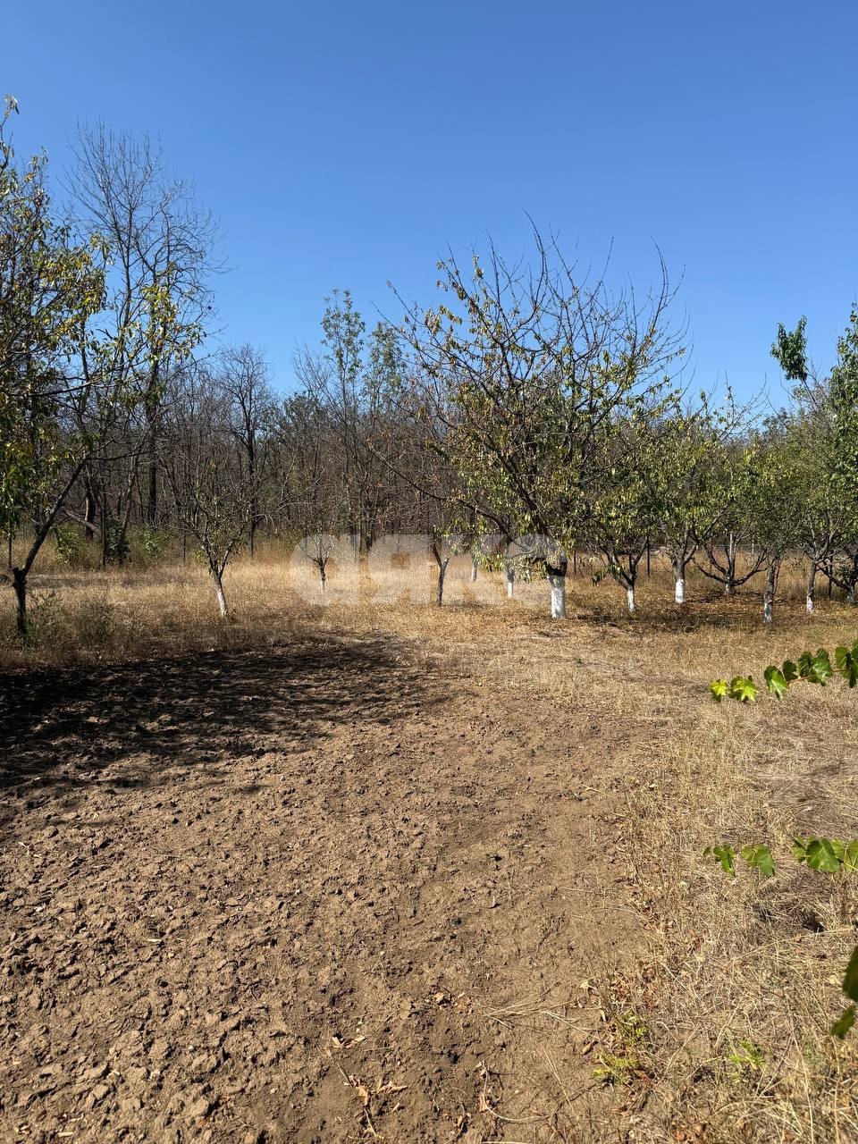 Фото №12: Дом 231 м² + 2000 сот. - Фёдоровка, ул. Центральная