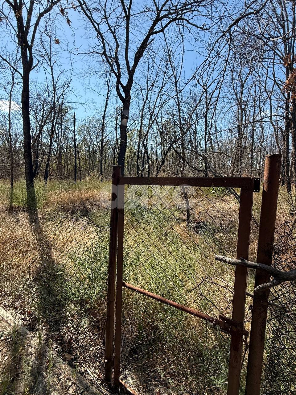 Фото №13: Дом 231 м² + 2000 сот. - Фёдоровка, ул. Центральная