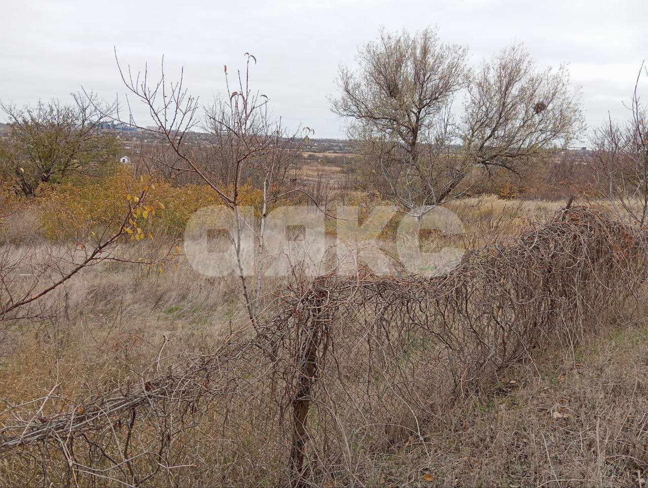 Фото №3: Участок садоводство 1200 сот. - Мариуполь, р. Ильичёвский