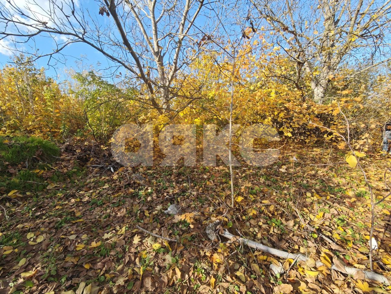 Фото №14: Участок садоводство 714 сот. - Мариуполь, р. Жовтневый