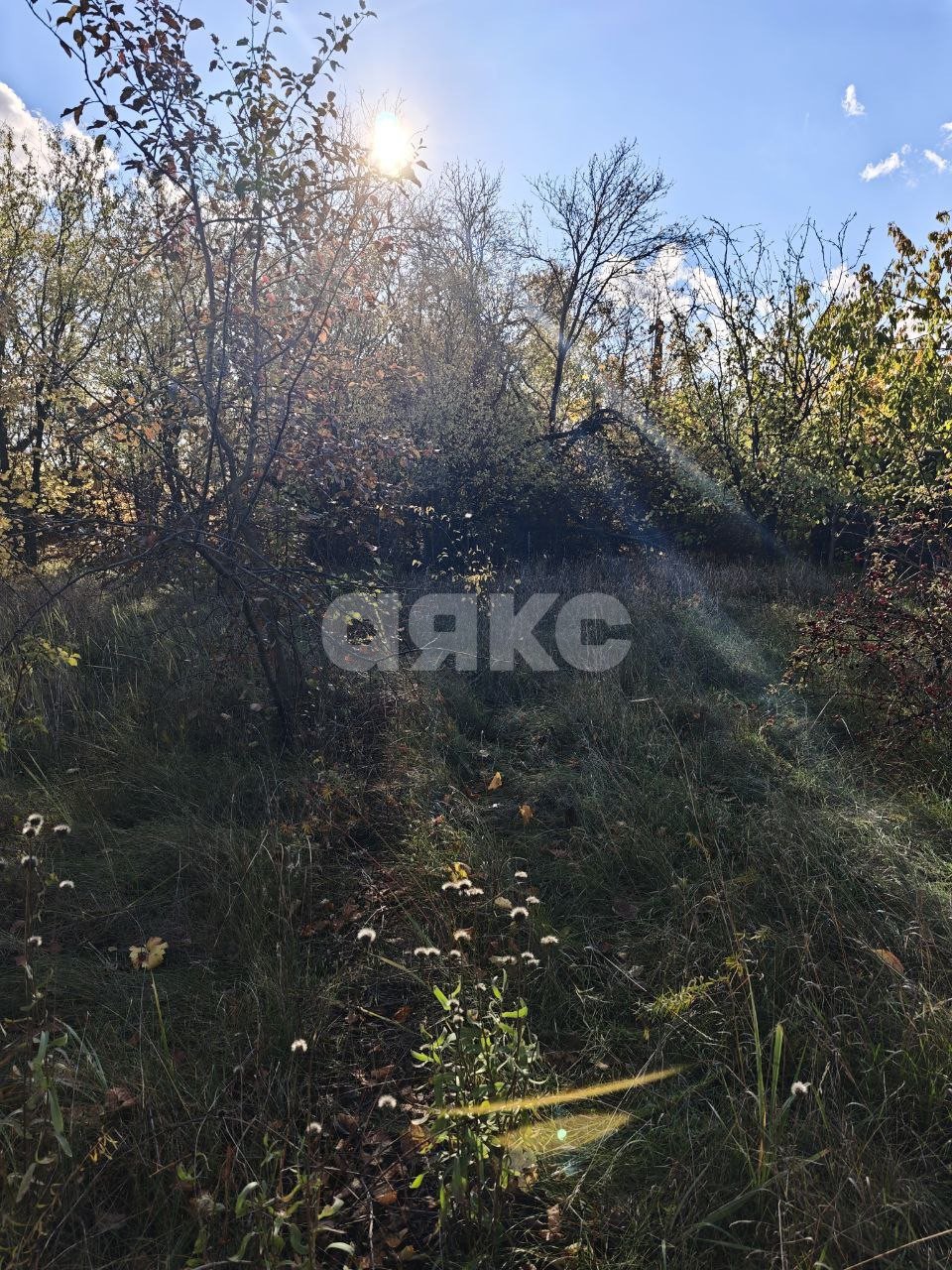 Фото №18: Участок садоводство 714 сот. - Мариуполь, р. Жовтневый