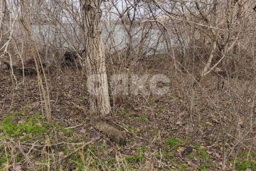 Фото №5: Земельный участок под ИЖС - Мариуполь, п. Горький, ул. Кизирова, 9