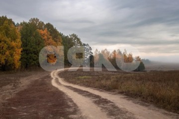 Фото №1: Коммерческая земля - Лебединское, 