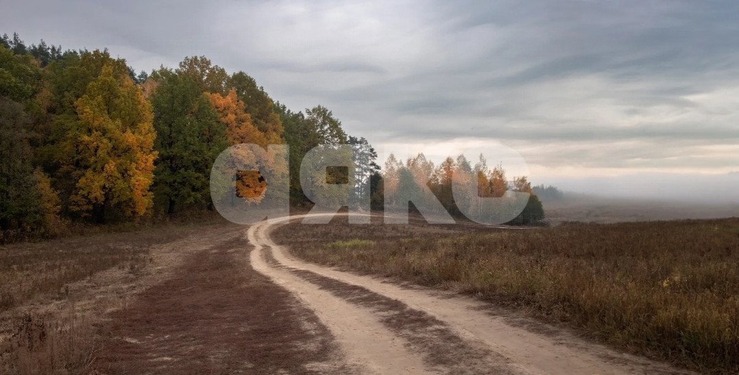 Фото №1: Коммерческая земля 4.8 сот. - Лебединское