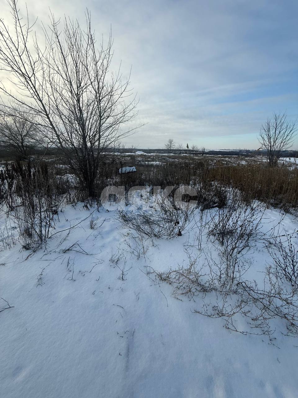 Фото №2: Земельный участок под ИЖС 592 сот. - Мариуполь, р. Ильичёвский, ул. Армейская, 13