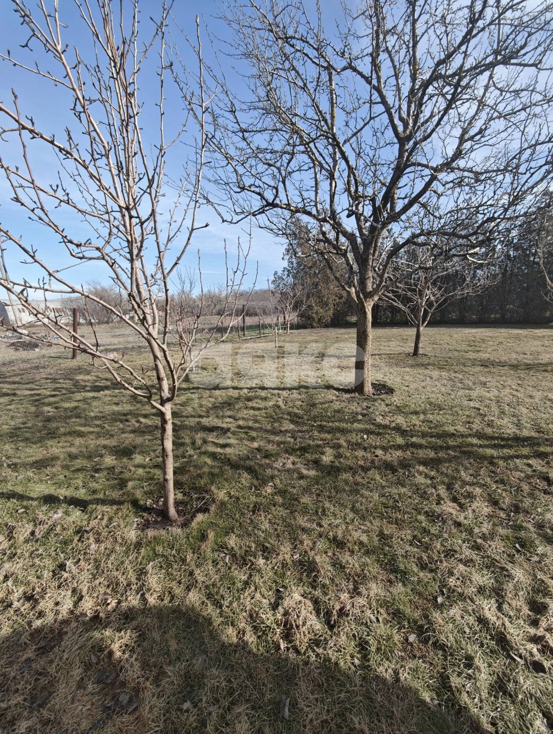 Фото №24: Дом 299 м² + 15 сот. - Агробаза, ул. Первомайская