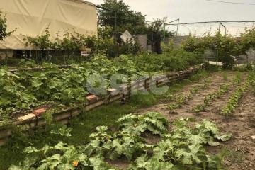 Фото №1: Дом 120 м² - Новоазовск, мкр. Будённовка, ул. Ленина