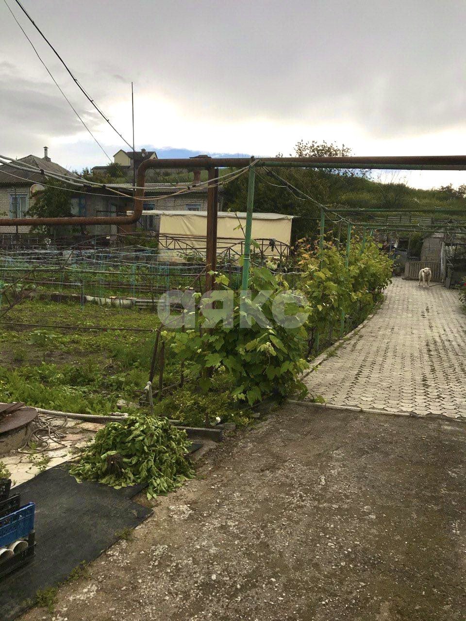 Фото №6: Дом 120 м² + 16 сот. - Новоазовск, Будённовка, Будённовка, мкр. Будённовка, ул. Ленина